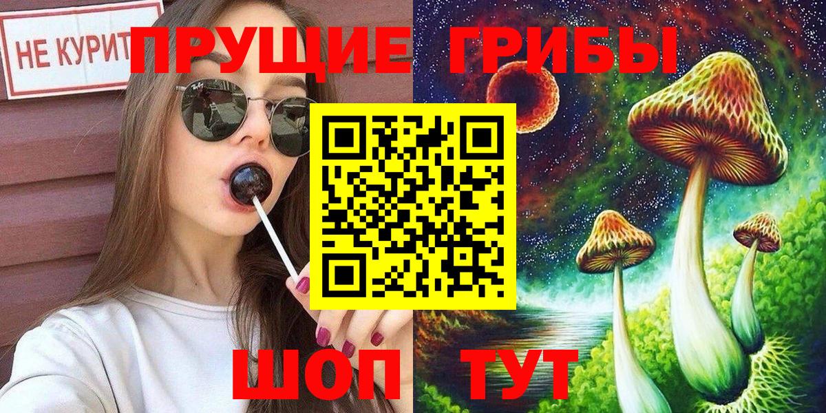 Псилоцибиновые грибы мицелий Арзамас
