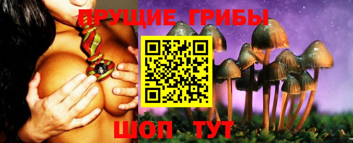 Псилоцибиновые грибы мицелий  Вход с VPN  Галлюциногенные грибы Psilocybine cubensis  где продают наркотики  Арзамас 